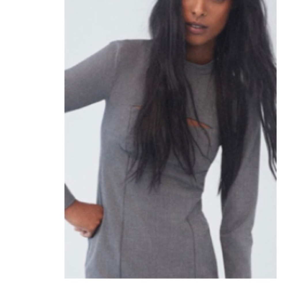 Zara Dress NWT